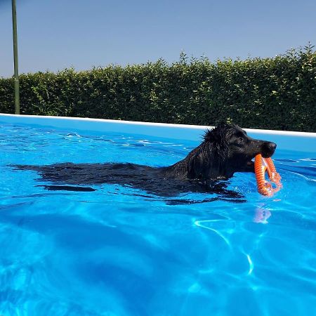 Agriturismo Delizia D'Este Francolino Екстер'єр фото