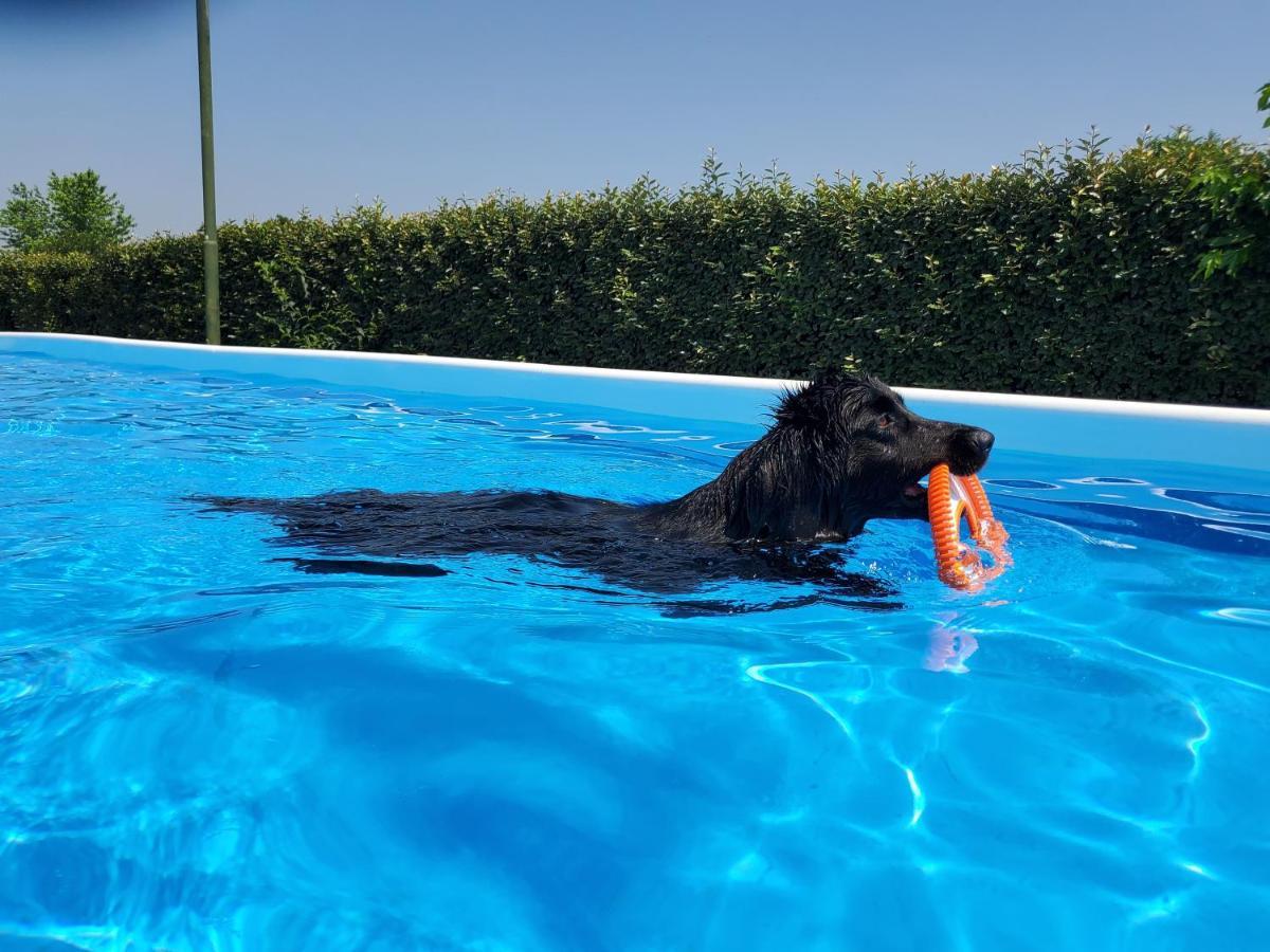 Agriturismo Delizia D'Este Francolino Екстер'єр фото